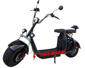 harley 1500w 60v
