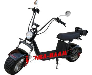 harley 3000w 60v