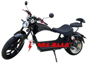HARLEY 4000W