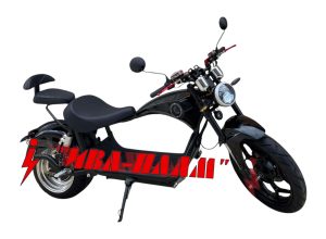 HARLEY 4000W 30ah